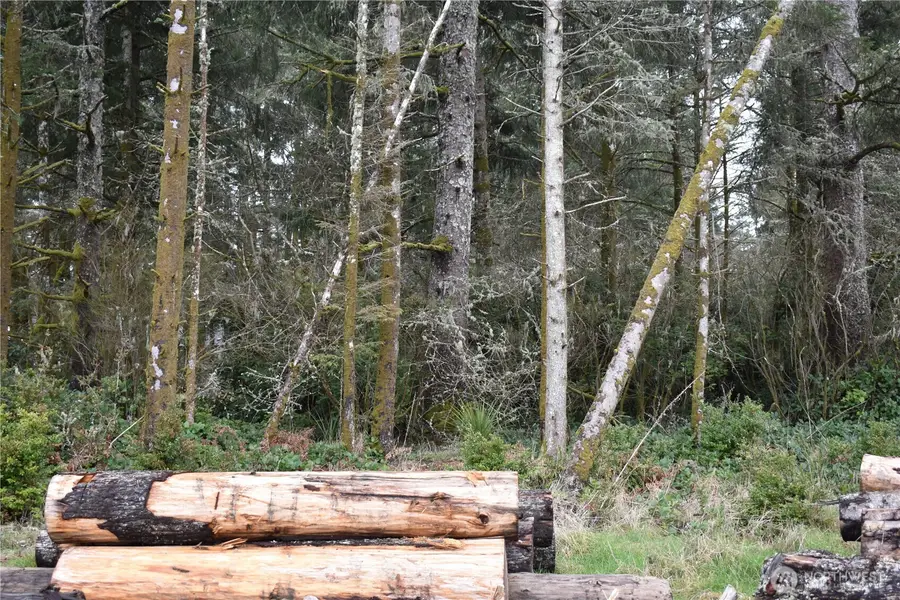 781 Mariner Court Se #41, Ocean Shores, WA 98569 - #2