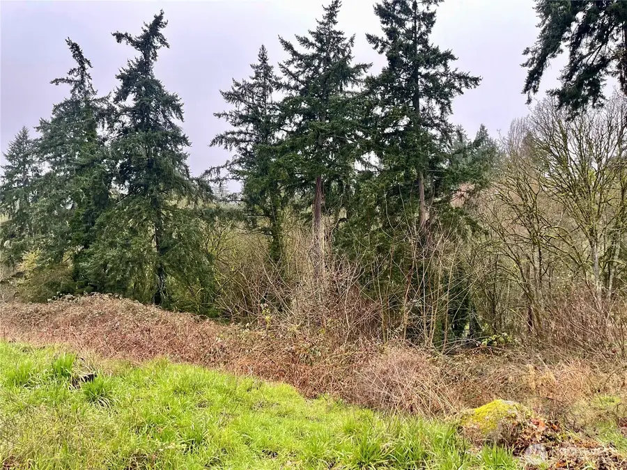 0 Edgewater Drive Sw, Lakewood, WA 98499 - #2