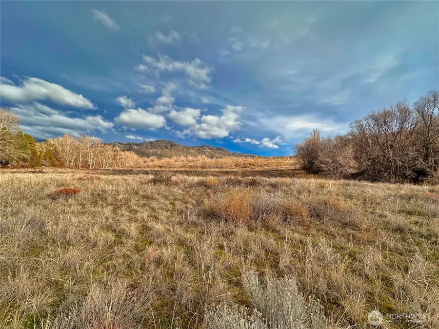 409 Tbd Eastlake Road #GOVT LOT 2, Oroville, WA 98844 - #3