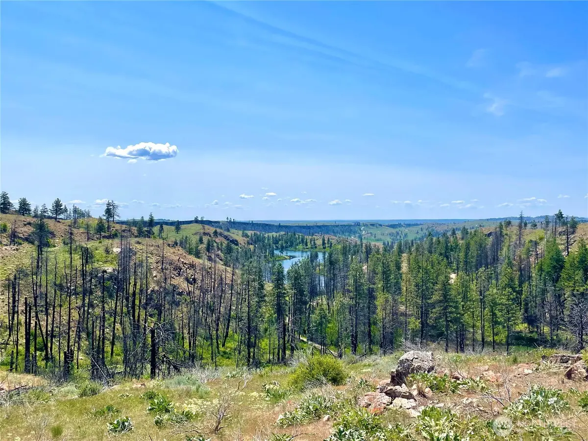 0 Madd Mtn Road, Okanogan, WA 98840 - #1