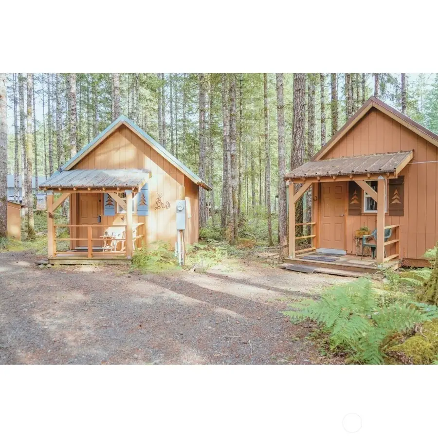 531 N Kokanee Ridge Drive #173, Hoodsport, WA 98548 - #3
