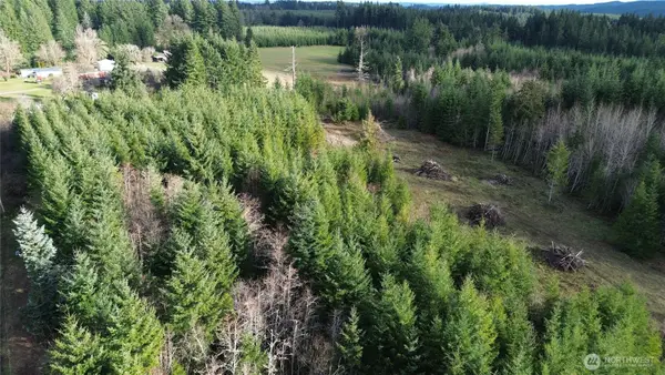 9605 Prather Road Sw #4, Rochester, WA 98579