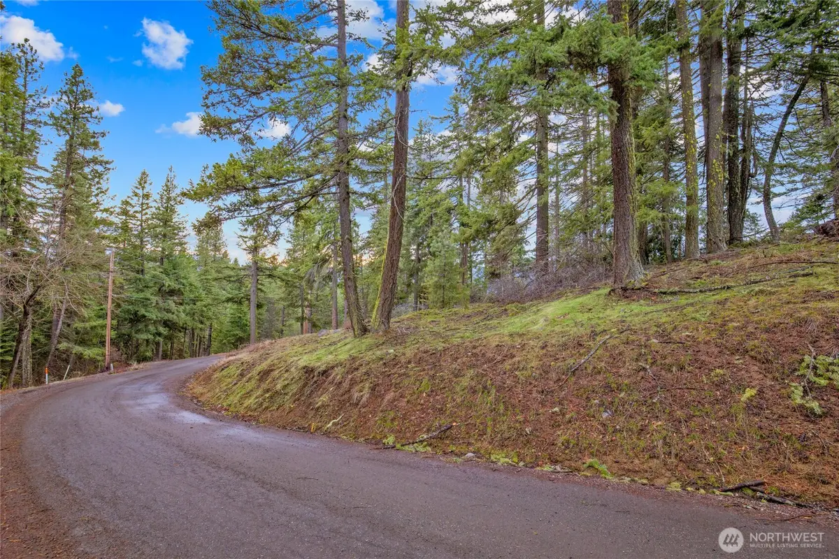 0 Pine Loch Sun Drive #12, Ronald, WA 98940 - #1