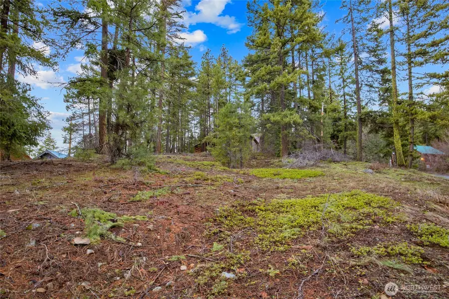 0 Pine Loch Sun Drive #12, Ronald, WA 98940 - #2