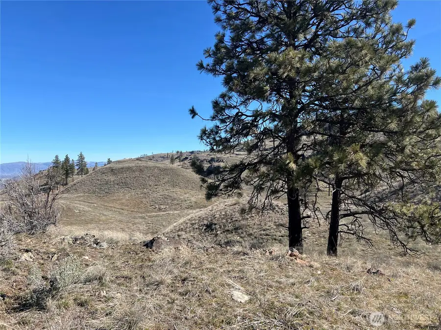 0 Soap Lake Road, Malott, WA 98829 - #3