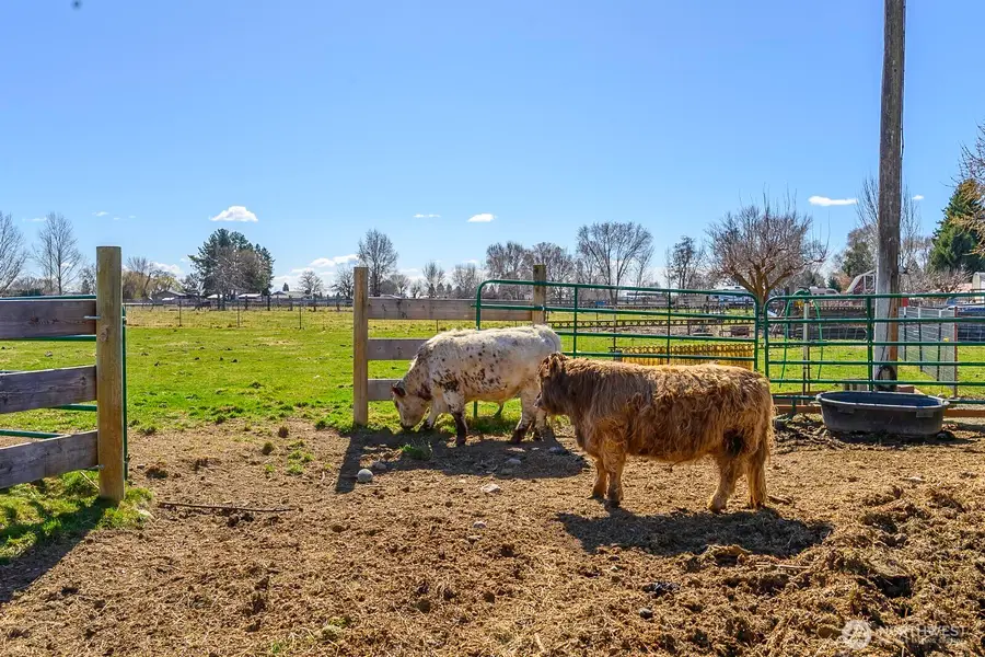 4371 Dunn Street Ne, Moses Lake, WA 98837 - #3