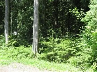 148 Polo Park Drive #55, Bellingham, WA 98229 - #1