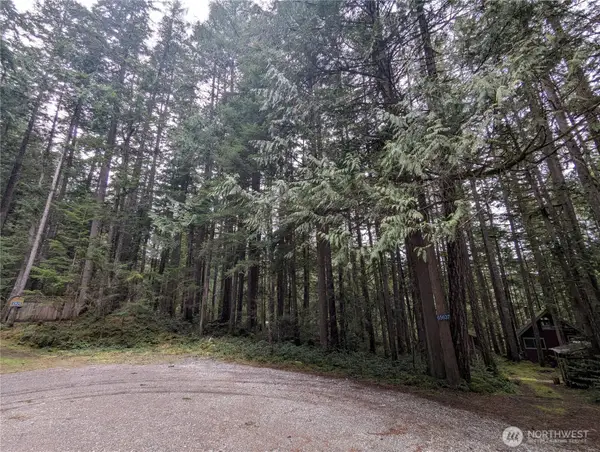 66 Skagit Way #66, Marblemount, WA 98267