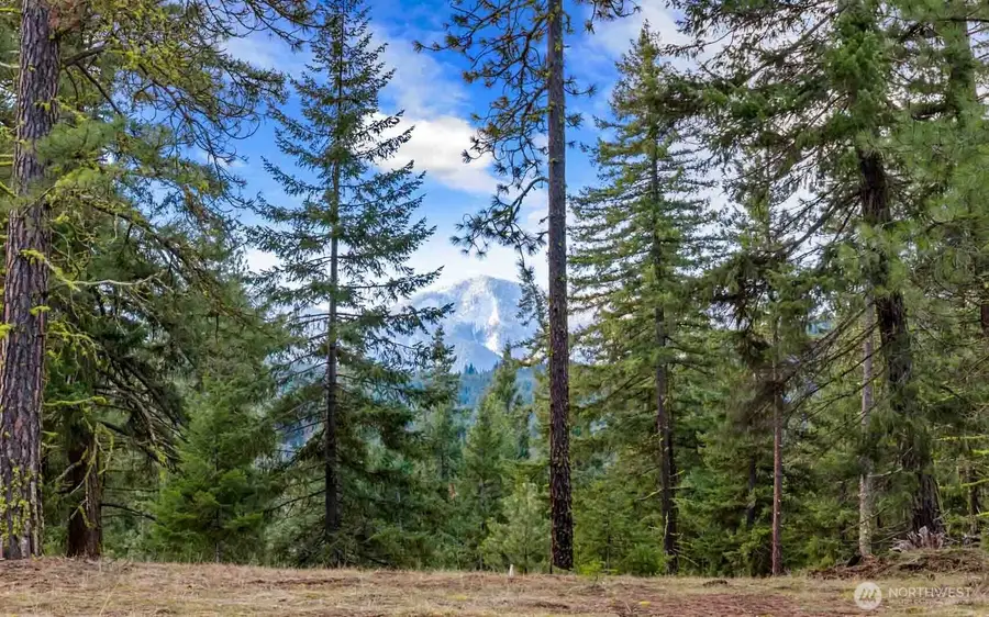 17 Wanawish Loop #17, Cle Elum, WA 98922 - #2