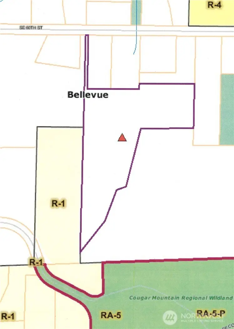 17701 SE 60th Street #2, Bellevue, WA 98006 - #2
