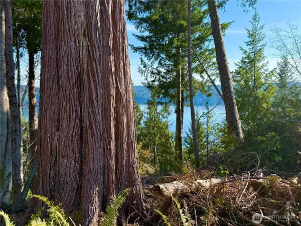 63 Devereaux Drive #Tract 2, Lilliwaup, WA 98555