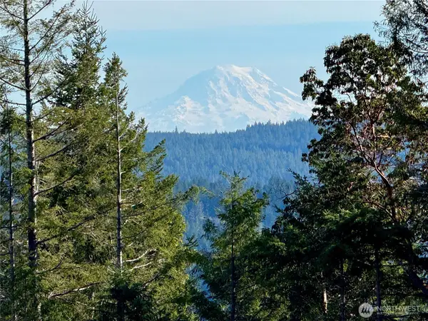 65 Devereaux Drive #Tract 3, Lilliwaup, WA 98555