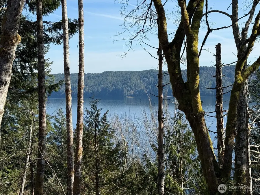 67 Devereaux Drive #Tract 4, Lilliwaup, WA 98555 - #3