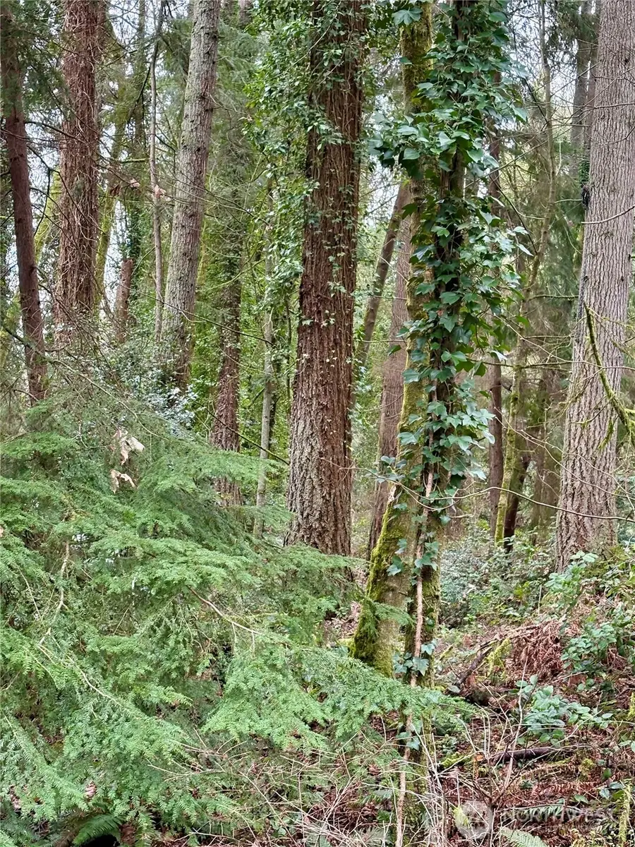 0 SW 230th Street, Vashon, WA 98070 - #2