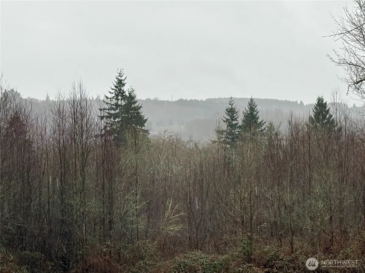 280 Ridge View Road, Onalaska, WA 98570 - #1