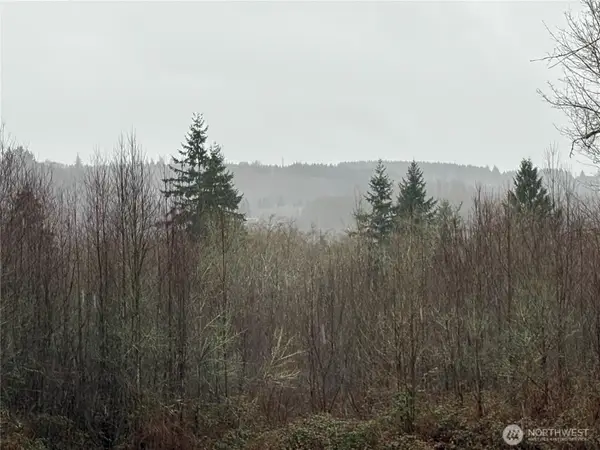 280 Ridge View Road, Onalaska, WA 98570