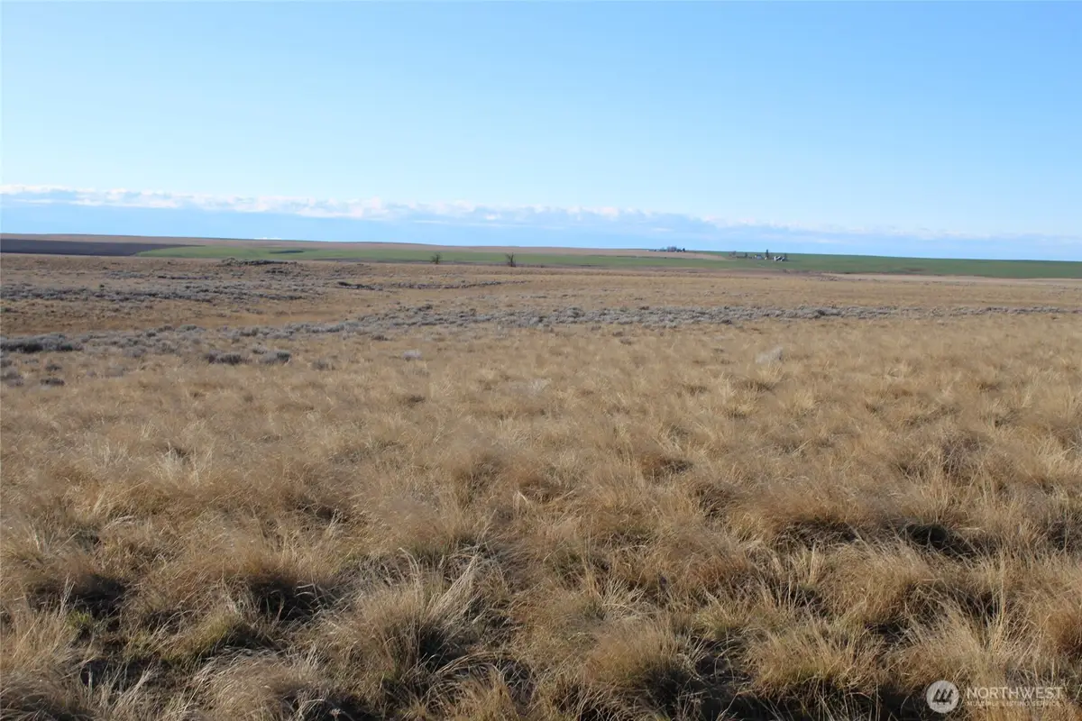 0 Schafer And Dewalt Road, Ritzville, WA 99169 - #1