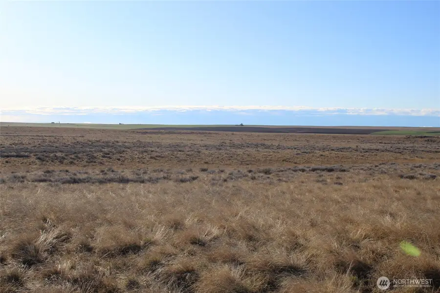 0 Schafer And Dewalt Road, Ritzville, WA 99169 - #3