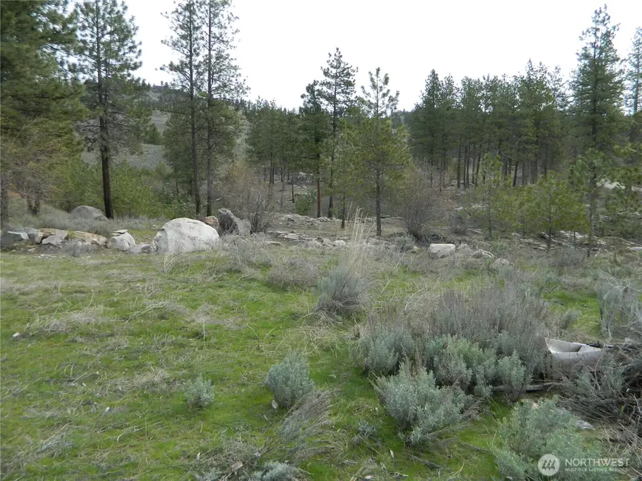 0 Tbd Six Gun Way, Tonasket, WA 98855 - #2
