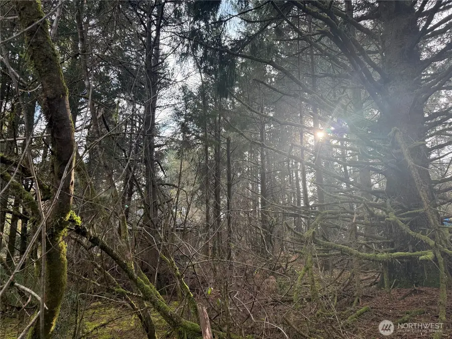 142 142nd Lane #13,14 & the east 23.6 ' of 14, Long Beach, WA 98631 - #2