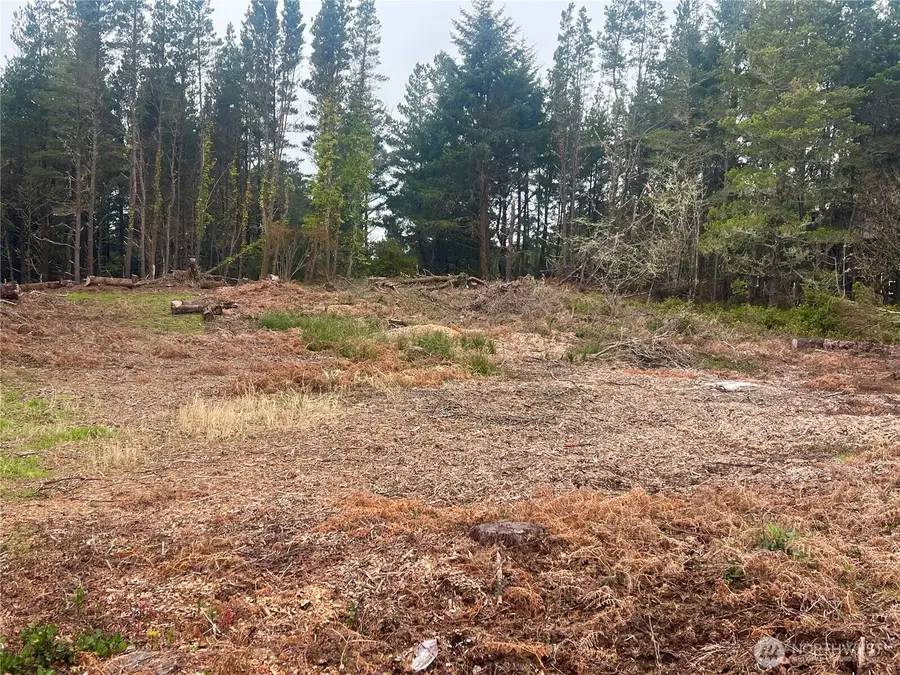 1301 178th Place W, Long Beach, WA 98631 - #2