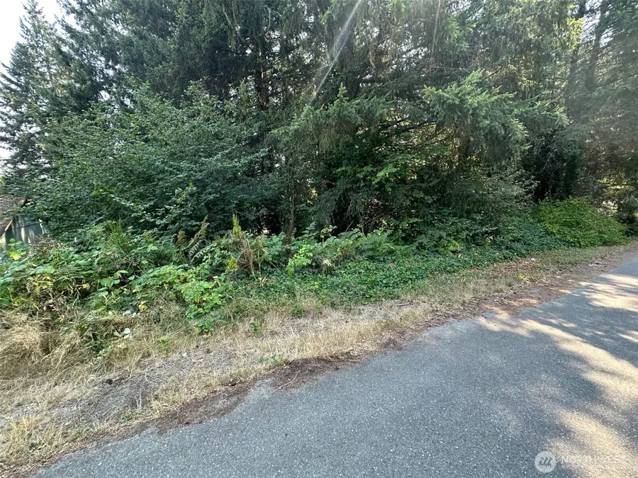 0 NE Wanda Court #28, Belfair, WA 98528 - #3