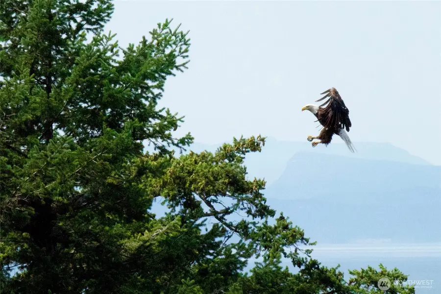 385 Karen Lane, Eastsound, WA 98245 - #2