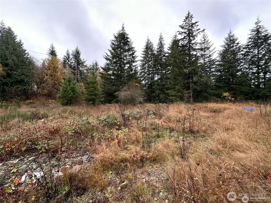 144 Avery Road, Chehalis, WA 98532 - #3