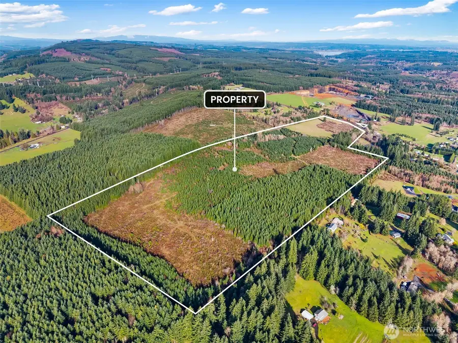 0 Hale Road, Winlock, WA 98596 - #3