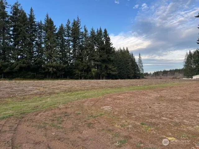 0 Frogner Road #1, Winlock Pe Ell, WA 98532 - #3