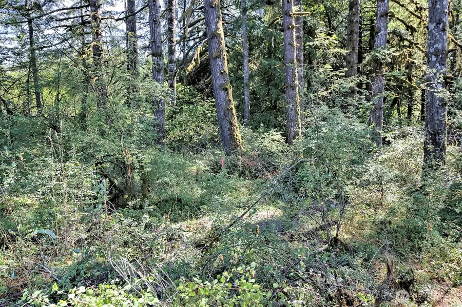 15501 N Us Highway 101 #N 1/2 Lot 3, Shelton, WA 98584 - #2