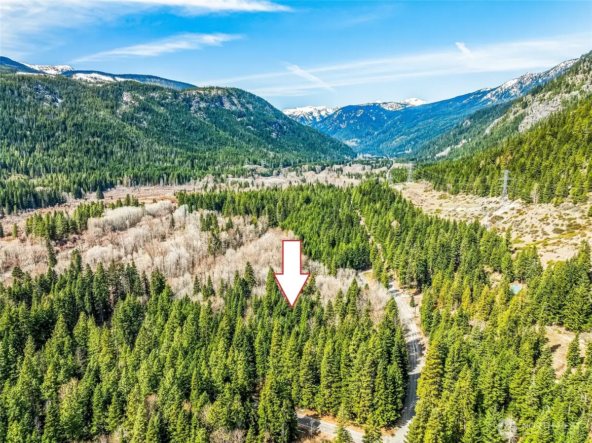 1111 Nason Ridge Road #LOT 4 SP 1590, Leavenworth, WA 98826 - #1