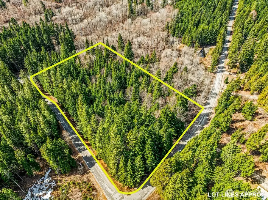1111 Nason Ridge Road #LOT 4 SP 1590, Leavenworth, WA 98826 - #3