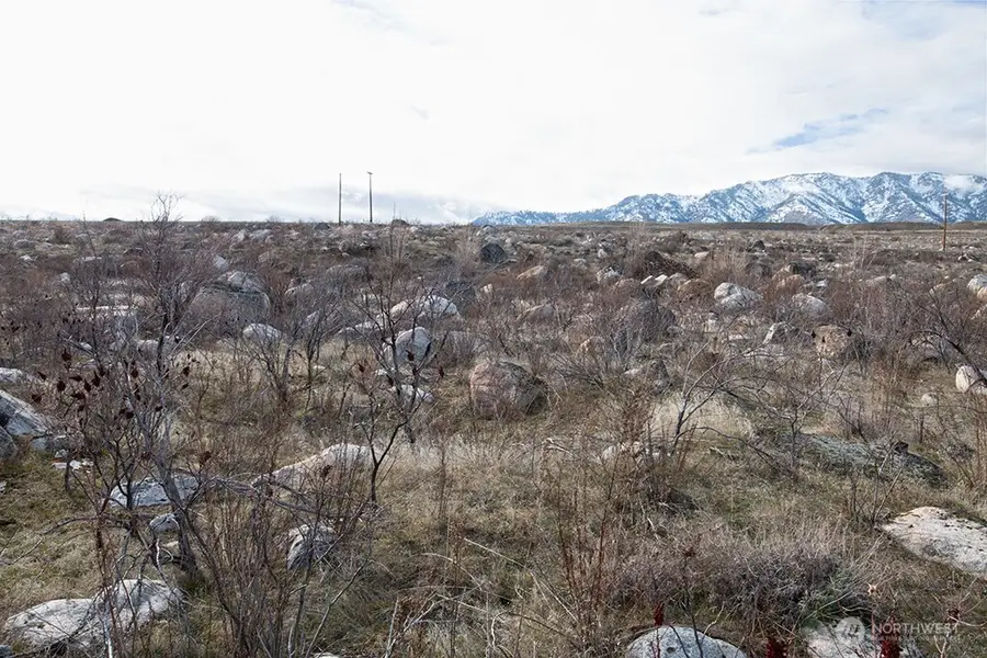 0 Lot 2 Lazy Lightning Long Plat, Pateros, WA 98846 - #2