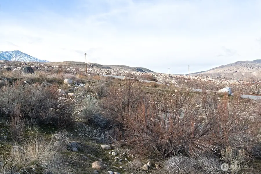 0 Lot 4 Lazy Lightning Long Plat, Pateros, WA 98846 - #2