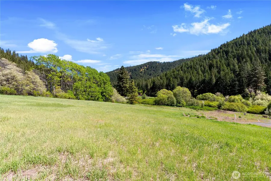 1111 Chumstick Highway #Lot 4, Leavenworth, WA 98826 - #3