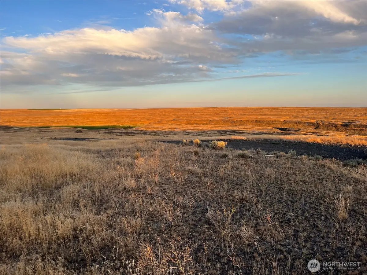 45 Eagle Springs Ranch #45, Wilson Creek, WA 98860 - #1