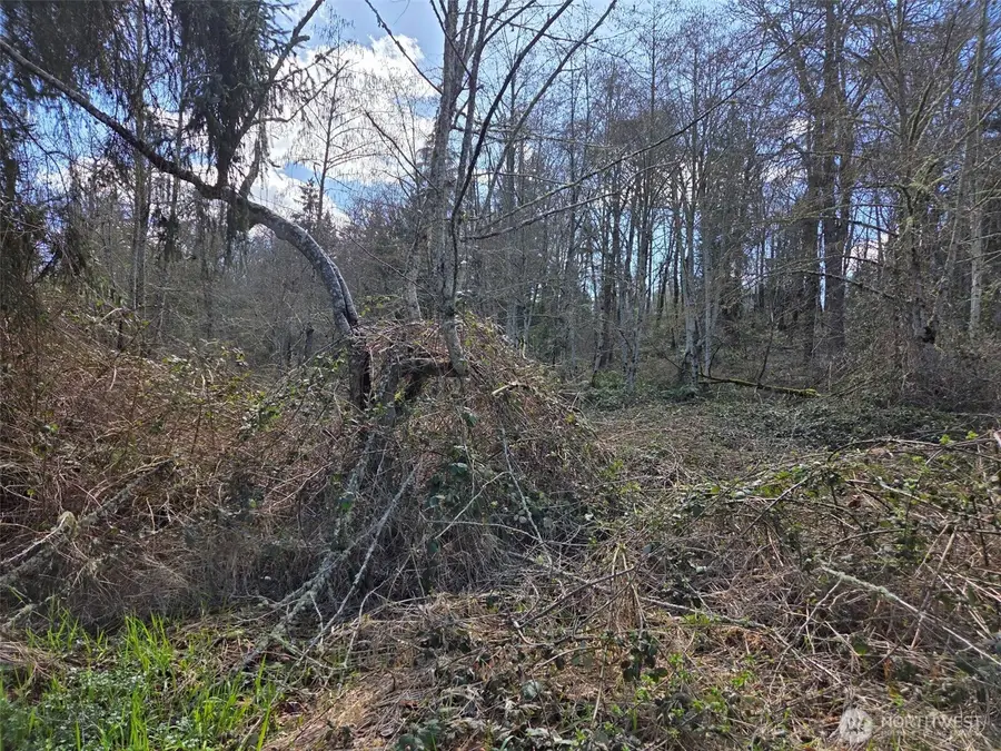 18599 SE 136th St, Renton, WA 98059 - #3