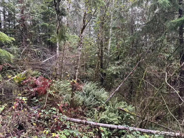 999 N Lake Cushman Drive #27, Hoodsport, WA 98548