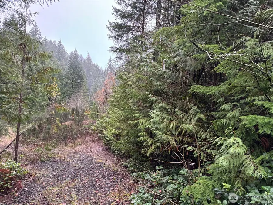 999 N Lake Cushman Drive #27, Hoodsport, WA 98548 - #2