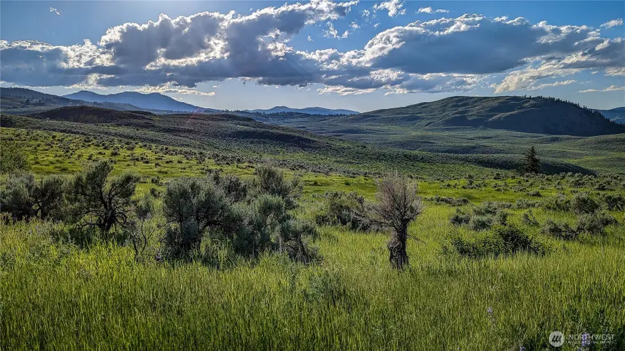 837 Ellemeham Mountain Road, Oroville, WA 98844 - #3