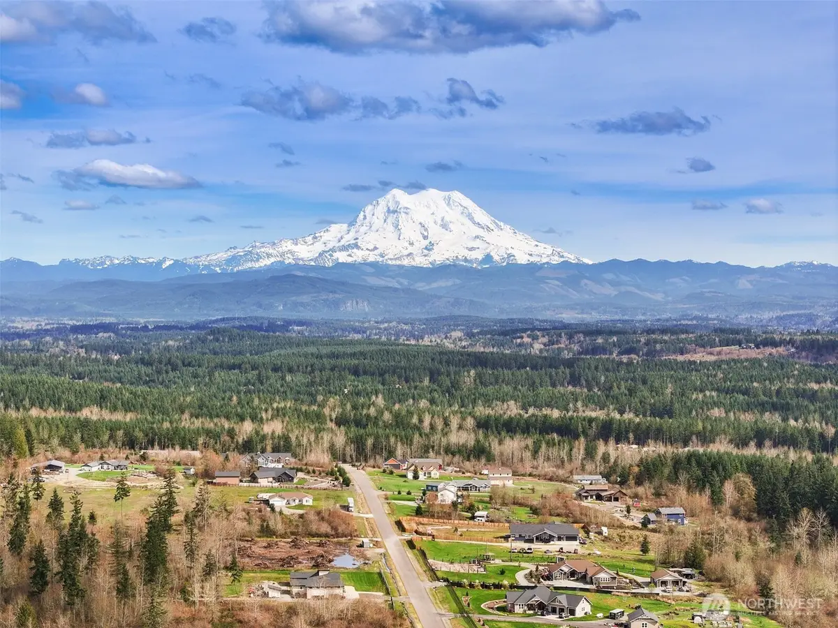 715 390th Street S, Roy, WA 98580 - #1