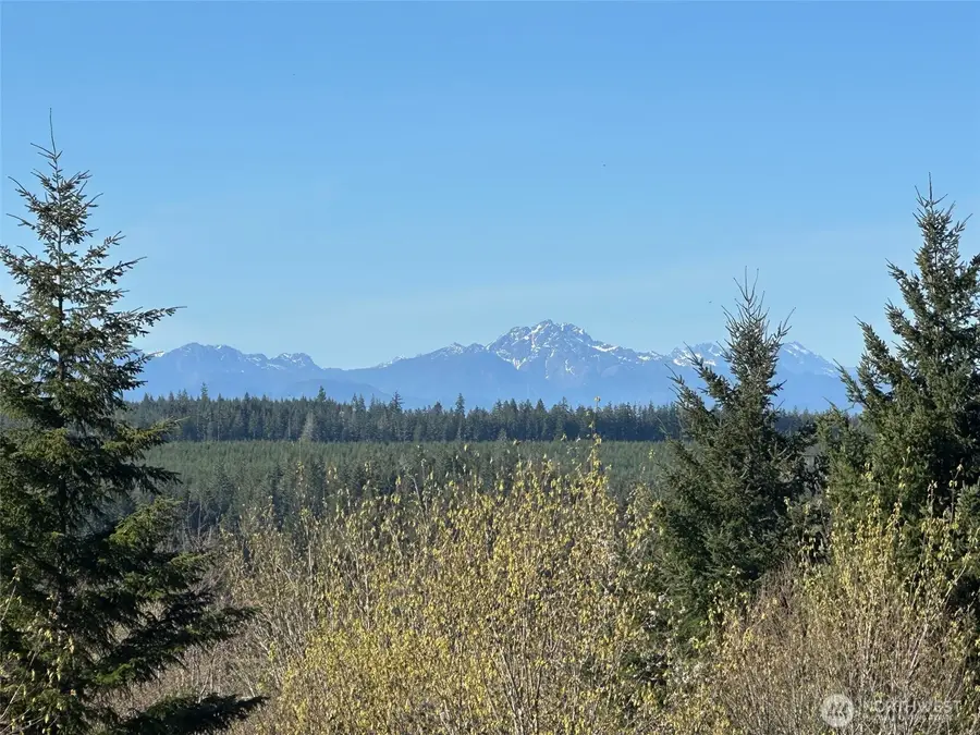 0 E Agate Road #TR 1 &2, Shelton, WA 98584 - #2