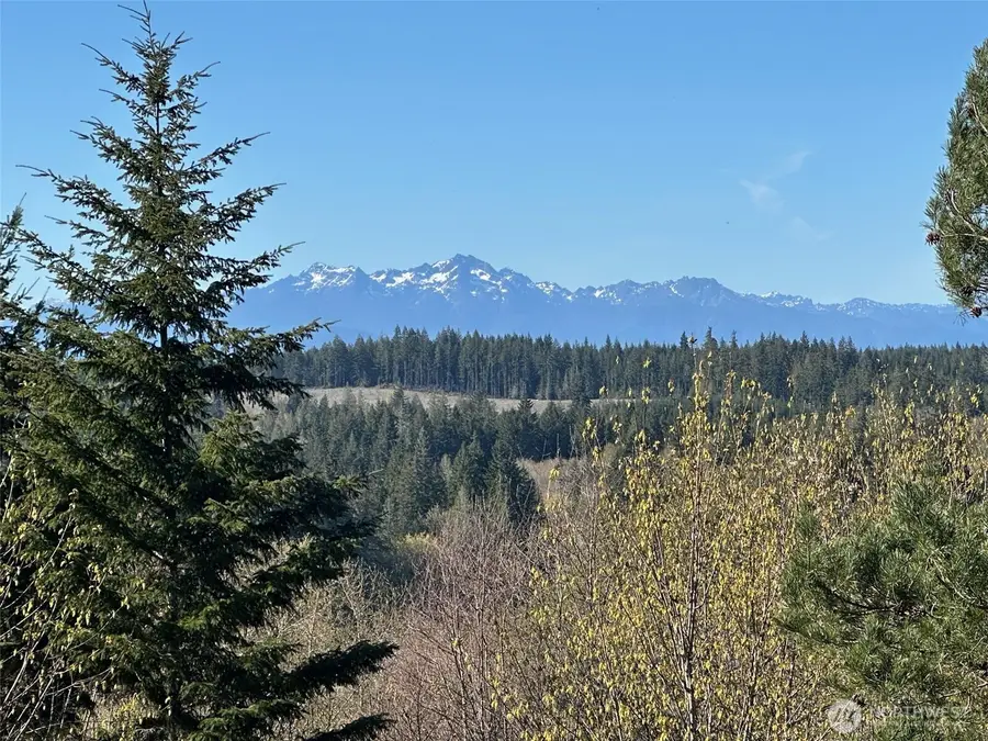 0 E Agate Road #TR 1 &2, Shelton, WA 98584 - #3