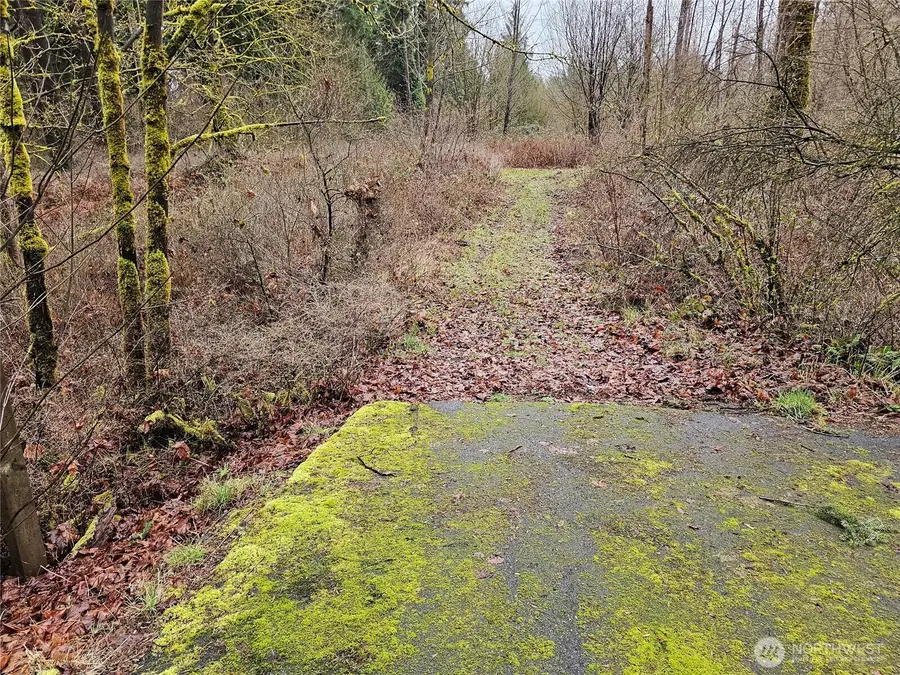 13036 188th Avenue Sw #14, Rochester, WA 98579 - #2