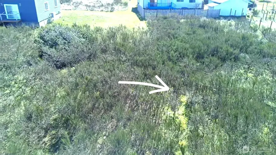 441 W Wind Street, Ocean Shores, WA 98569 - #3