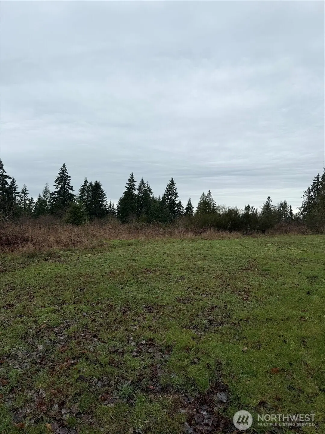 10767 Palisades St Se, Yelm, WA 98597 - #1