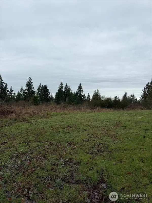 10767 Palisades St Se, Yelm, WA 98597