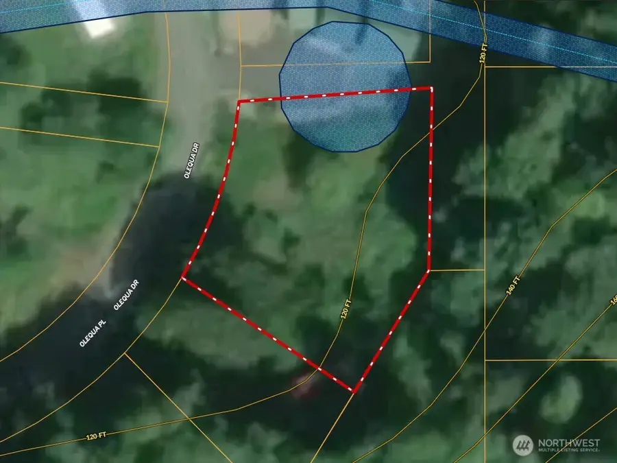 177 Olequa Drive #24, Vader, WA 98593 - #2