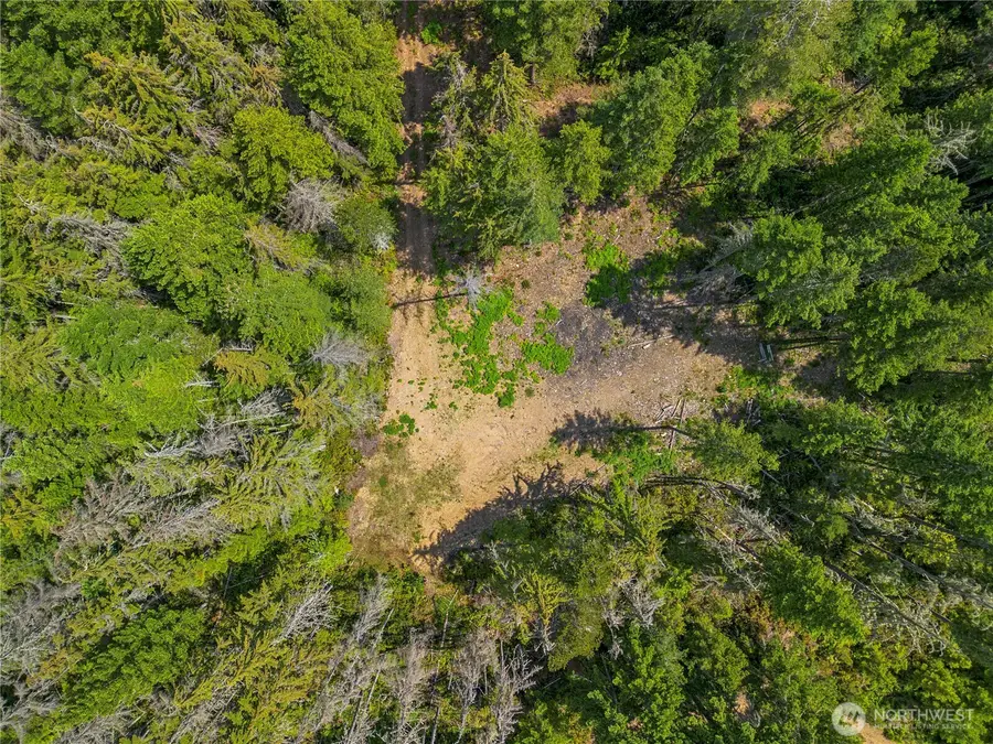 905 NE Tahuya Blacksmith Road, Tahuya, WA 98588 - #2